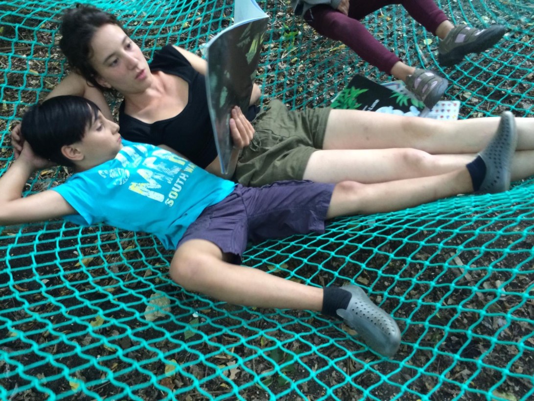 Ecole dans les arbres 2